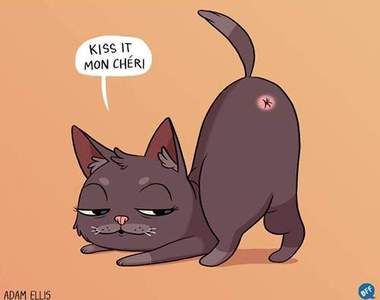 《貓奴的心聲》寶貝不要讓我一直看你屁眼啦