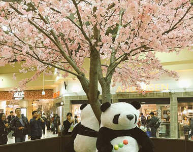 日本《上野櫻花車站》充滿櫻花盛開的夢幻佈置