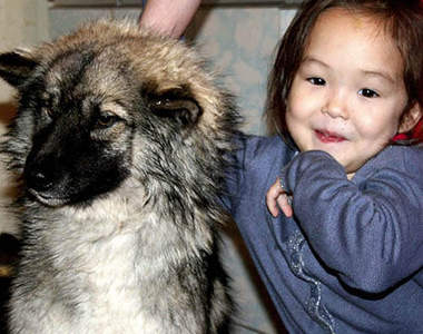 好可怕系列《迷失西伯利亞森林》小女孩和狗狗經歷了什麼事呢