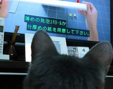 《貓咪愛看的電視節目》看得如此入迷可以趁機幫貓剪爪子了www