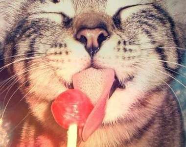 《吃貨的特質》想吃就吃　能吃就是福♥