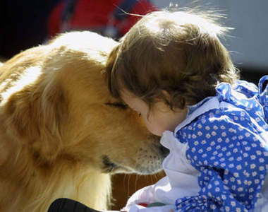 《小孩與寵物》這是全世界最和平的組合