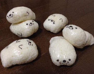 超可愛《海豹飯糰》養在冰箱裡的另類"寵物"(((^艸^)))