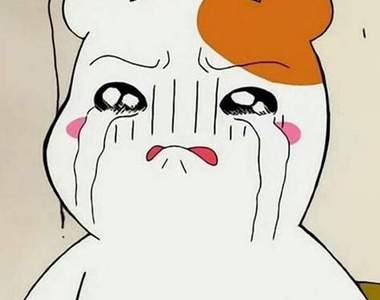 《因停播掀起的憤怒潮》褲子都脫了你才跟我說蝦咪龍迷有？