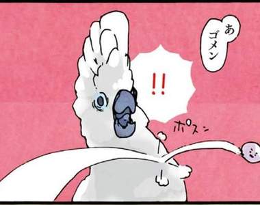 漫畫《鸚鵡的生活雜記》你家的鳥兒也有這麼俏皮嗎?