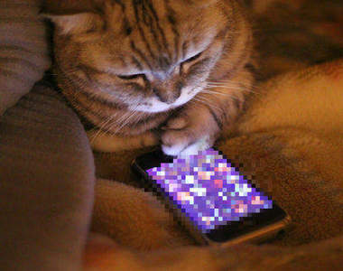 《手機上的分手畫面》據說手機上出現這個就屎定惹......