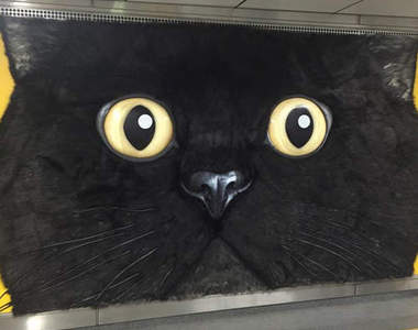 《巨型黑貓入侵》毛茸茸的立體黑貓看板好想摸一把啊～♥