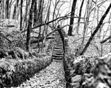 《都市傳傳說》一千步階梯到底最後是通往哪裡