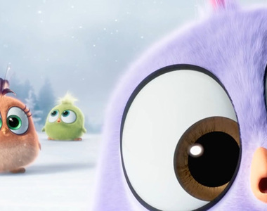 《憤怒鳥電影版》聖誕節特別預告小短片 萌的我滿臉(〃∀〃)