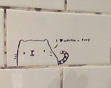 《廁所牆上的智慧留言》這是人類創作力最旺盛的時候嗎？