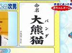 2015《最有可能流行的DQN姓名》拜託千萬不要取這些名字啊…(抖) 2015《最有可能流行的DQN姓名》拜託千萬不要取這些名字啊…(抖)