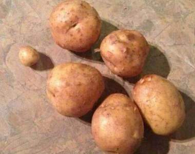 《老公回應老婆的要求》是不是有哪根神經接錯線ww