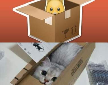 17款《貓奴心中的夢幻emoji》以後可以對著螢幕壓肉球了ΦωΦ