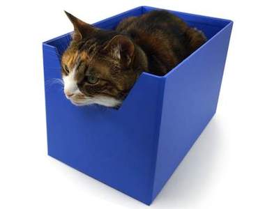 《Boxy Bed》貓咪絕對會進去的貓床誕生了www