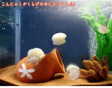 《日本水族館伴手禮》可愛水母蒟蒻吃起來超Q彈