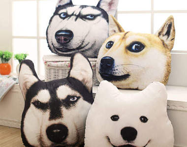 《神煩狗抱枕》這個太有趣會忍不住拿來拍大頭照