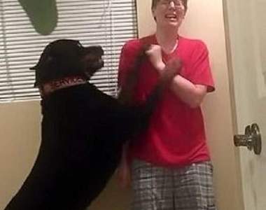 《阻止主人自殘的小狗》喚醒大眾對亞斯伯格症患者的重視