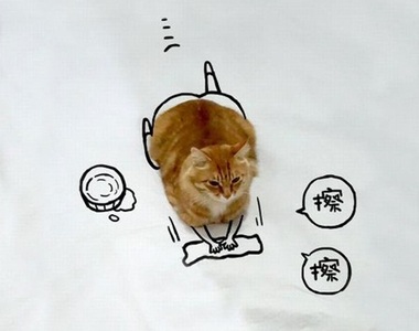 寵物版《請高手幫我PS》不要惡搞皇上阿ww
