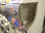 《池袋扭蛋祭》參加祭典的時候特別容易失心瘋… 《池袋扭蛋祭》參加祭典的時候特別容易失心瘋…