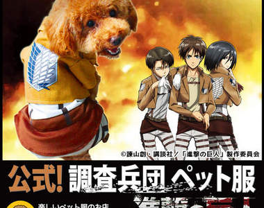 進擊的巨人《狗狗的調查兵團服裝》對狗狗們來說我們應該是巨人吧(笑)
