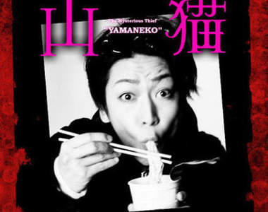 緊急通緝《怪盜山貓》龜梨和也×成宮寬貴×廣瀨鈴冬季日劇初合演