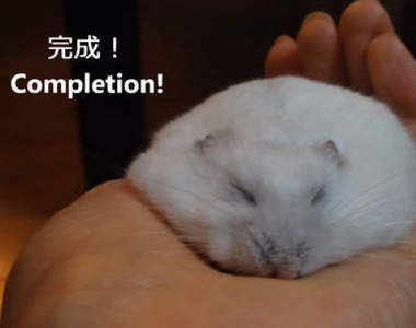 《擺平倉鼠的方法》照著做就可以得到融化的倉鼠大福唷(軟)