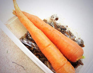 杯具啊～《女子力超低的女孩們》沒關係至少我們活得很灑脫（甩髮）