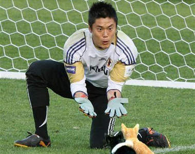 《把足球換成貓》守門員的威嚴盡失 卻贏不了恐怖分子的魅力……