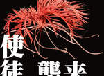 《使徒襲來注意報》海百合在海中游泳的樣子太讓人頭皮發毛了 《使徒襲來注意報》海百合在海中游泳的樣子太讓人頭皮發毛了