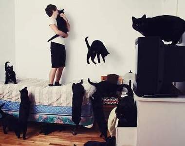 《貓癡的夢幻生活》活在PS世界也是美好的選擇