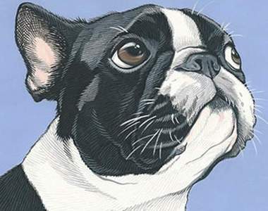 《狗奴都做過的事》全身上下都要有狗狗的東西才專業阿