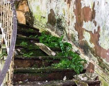 《百億廢墟》看起來就像個會鬧鬼的地方