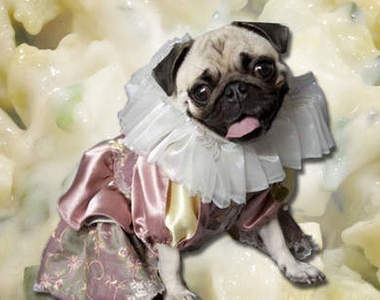 《10大怪異募款計畫》做碗沙拉也可以上網募款？