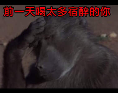 《吃水果酒醉的動物》偶沒有醉~只是多吃了一點...(茫)