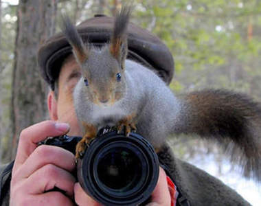 《與攝影師玩耍的動物們》就算是好奇心旺盛也太靠近鏡頭了吧♥