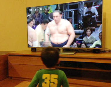 《超可愛小小相撲迷》看看他15天崩潰與歡呼的激烈反應……