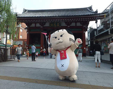 愛護環境的吉祥物《淺草的打掃貓》大家不可以亂丟垃圾喔