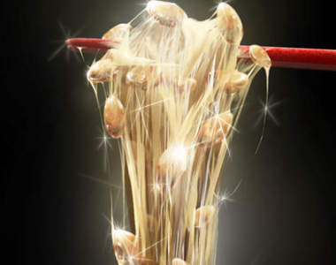 《納豆掉進洗衣機的結果》這就是浪費食物的報應?