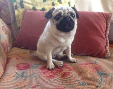 超擬真《羊毛氈寵物》請勿拍打餵食唷ΦωΦ