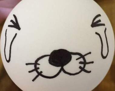 《創意桌球塗鴉》就算球掉了也很快就能知道失主是誰~