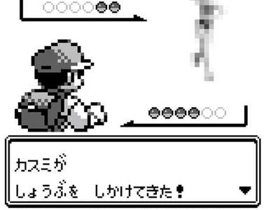 神奇寶貝《小霞模型》這跟小剛的規格會不會差的有點多(汗)