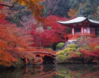 《2015遊客最愛城市TOP 10》第一名是位在日本的～