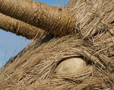 美術大學生的《稻草藝術祭》最後怎麼沒有來個營火晚會？