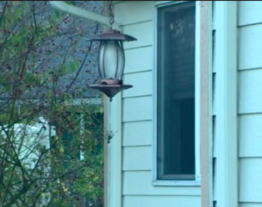 《校車奶奶的故事》每天在窗邊揮手的奶奶今天沒有出現...