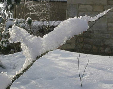 《不可思議的積雪景象》是誰偷偷動了手腳嗎ww