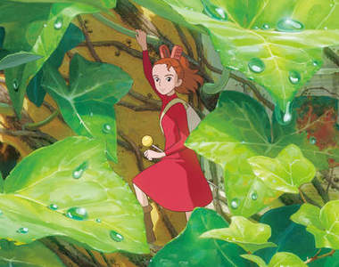 《小隻女受歡迎真正的理由》不是容易推倒嗎？