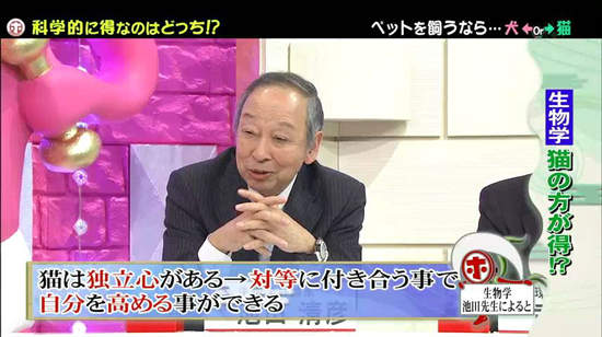 《犬派VS貓派》以科學角度分析～人生比較幸福的揪竟是哪一派呢？ - 圖片10
