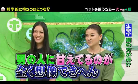 《犬派VS貓派》以科學角度分析～人生比較幸福的揪竟是哪一派呢？ - 圖片11