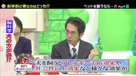 《犬派VS貓派》以科學角度分析～人生比較幸福的揪竟是哪一派呢？ - 圖片12