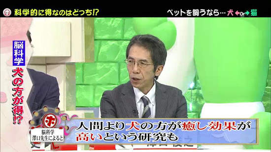 《犬派VS貓派》以科學角度分析～人生比較幸福的揪竟是哪一派呢？ - 圖片13